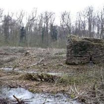 Ruine Nienburg