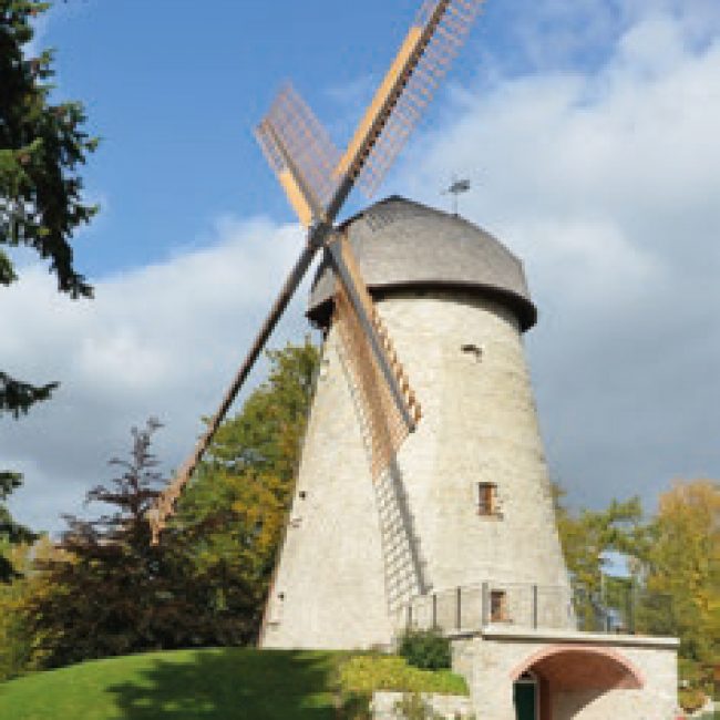 Mühlen- und Maibaumfest