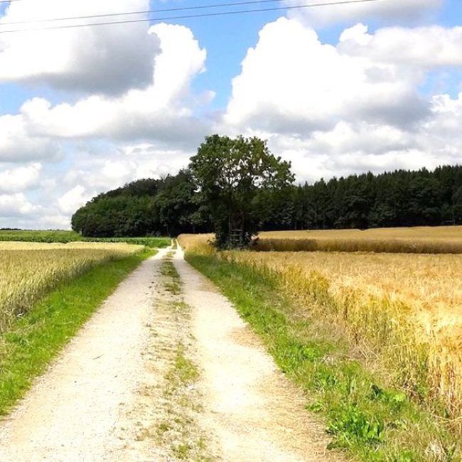 Schnadegang der Natur- und Heimatfreunde