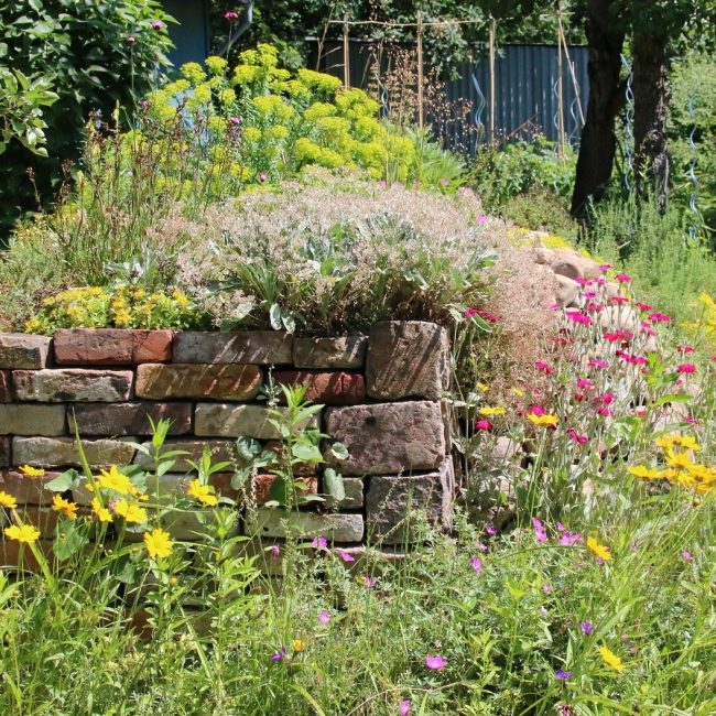 Förderung von Insektenvielfalt &#038; Bachpatenschaften in Ennigerloh
