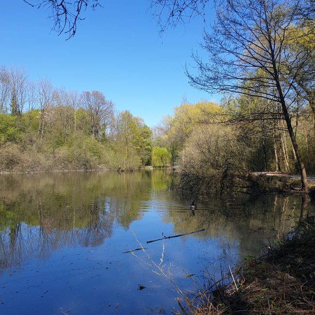 Führung durch den Grimberg-Steinbruch in Ennigerloh
