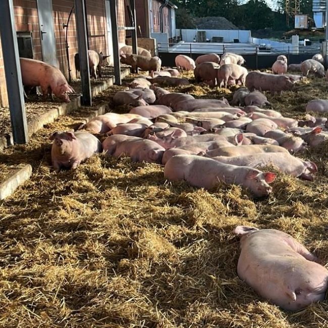 09.04.2025 17:00 Uhr Besichtigung Hof Bettmann