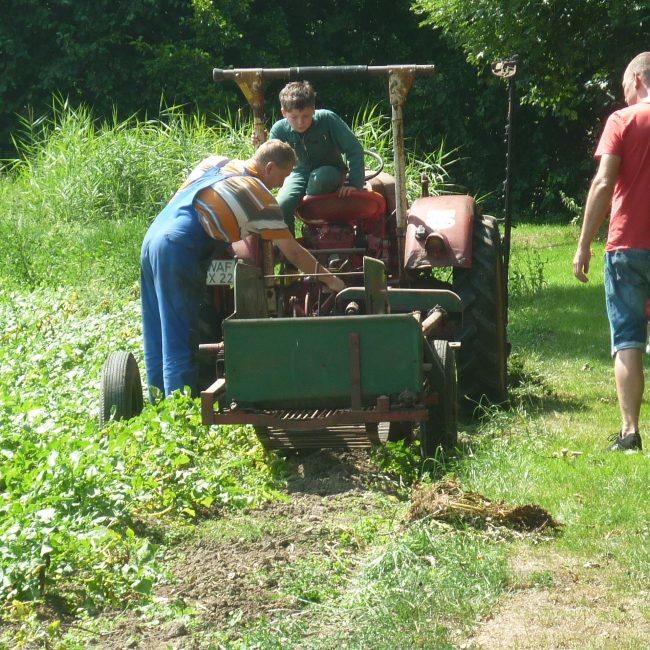 06.09.2025 Historische Kartoffelernte