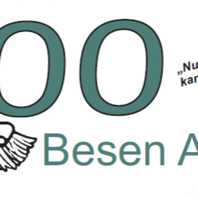 100 Besen-Aktion am 28.03.2020 – ABGESAGT!