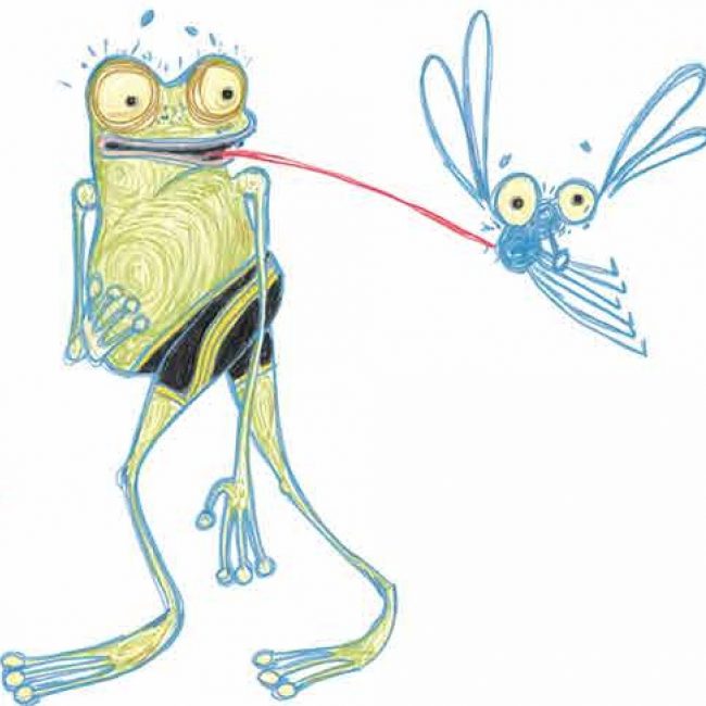 Kindertheater von und mit Achim Sonntag: Die Wahrheit über den Froschkönig (ab 4 Jahren)