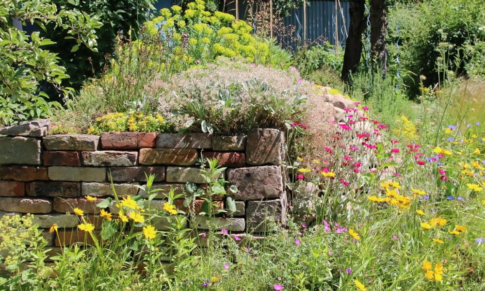Förderung von Insektenvielfalt & Bachpatenschaften in Ennigerloh