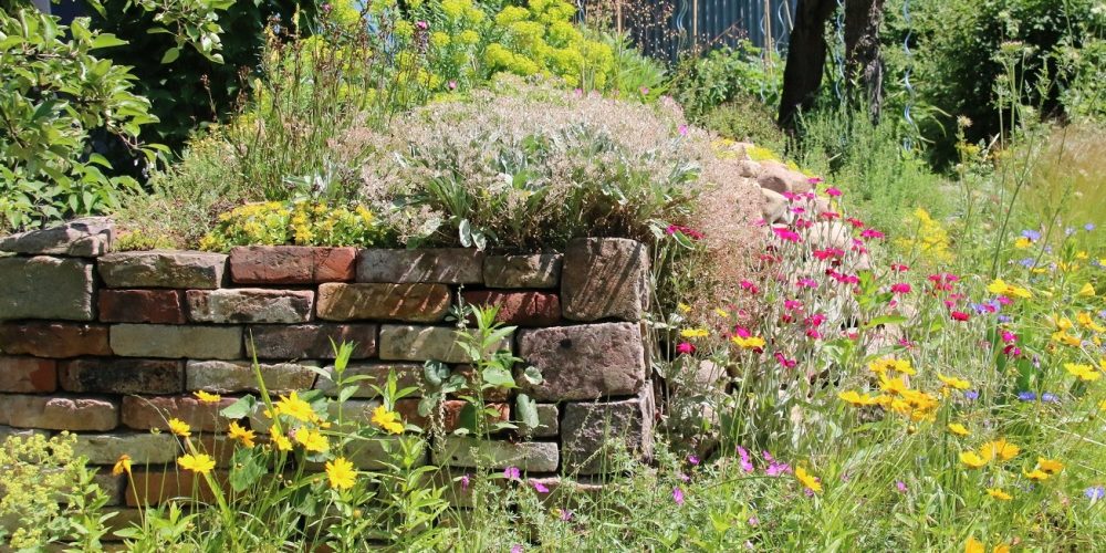 Förderung von Insektenvielfalt & Bachpatenschaften in Ennigerloh