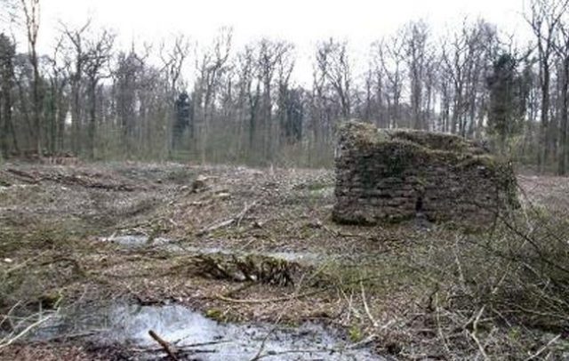Ruine Nienburg